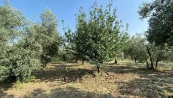 Продается участок под виллу с видом на море в Гёчеке, Турция